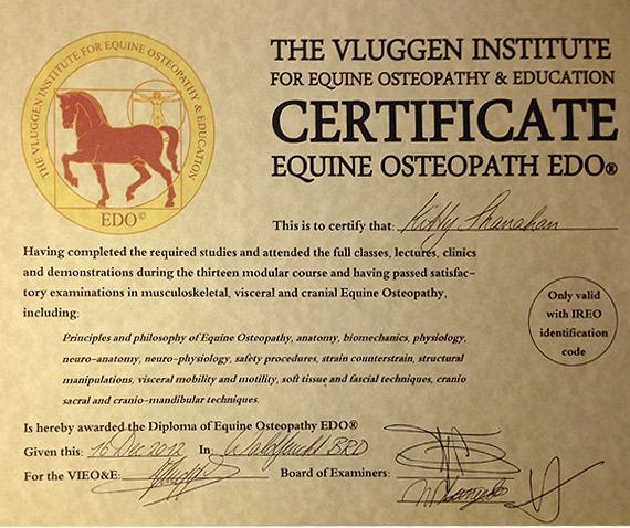 The Vluggen Institite For Equine Osteopathy & Education Certificate - Diploma of Equine Osteopathy EDO&reg;