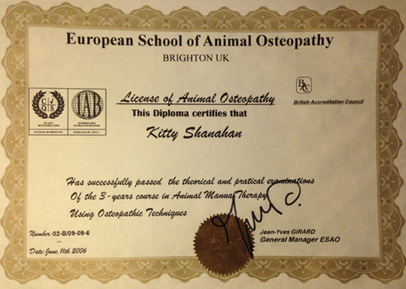 European School Of Animal Osteopathy - License of Animal Osteopathy