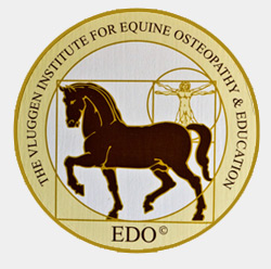 View my qulifications - Vluggen Institute for Equine Osteopathy & Education Diploma